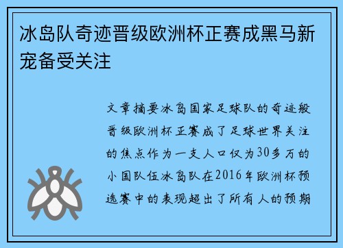 冰岛队奇迹晋级欧洲杯正赛成黑马新宠备受关注