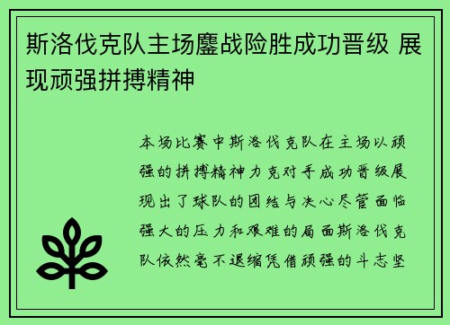 斯洛伐克队主场鏖战险胜成功晋级 展现顽强拼搏精神